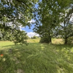 Terrain partiellement constructible de 3108 m² à Montauban - Emplacement idéal
