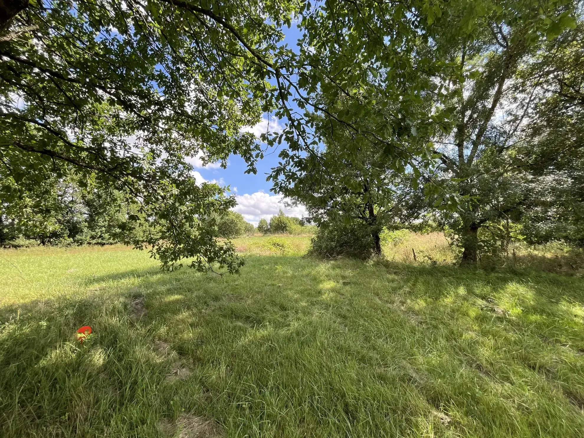 Terrain partiellement constructible de 3108 m² à Montauban - Emplacement idéal 