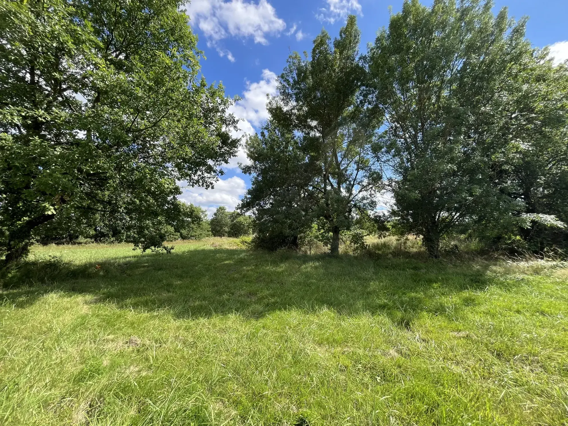 Terrain partiellement constructible de 3108 m² à Montauban - Emplacement idéal 