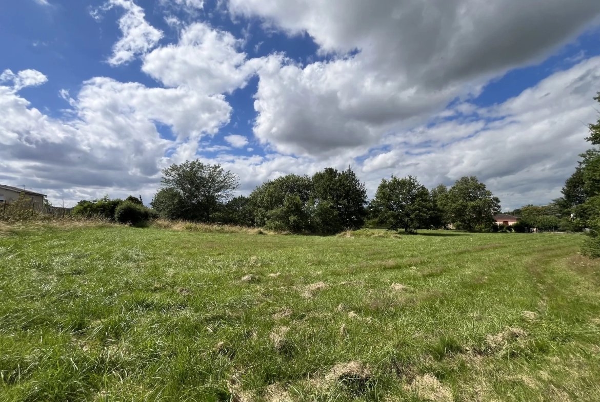 Terrain partiellement constructible de 3108 m² à Montauban - Emplacement idéal 