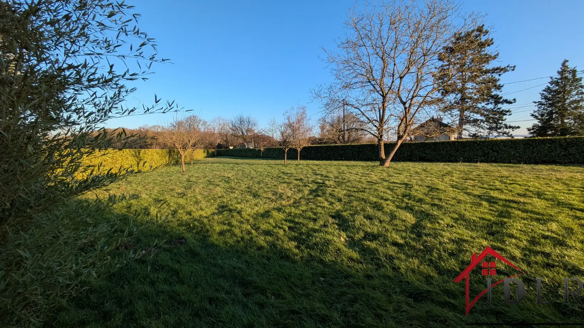 Maison indépendante avec dépendances et grand jardin à Pierre de Bresse : idéale artisan ou famille 