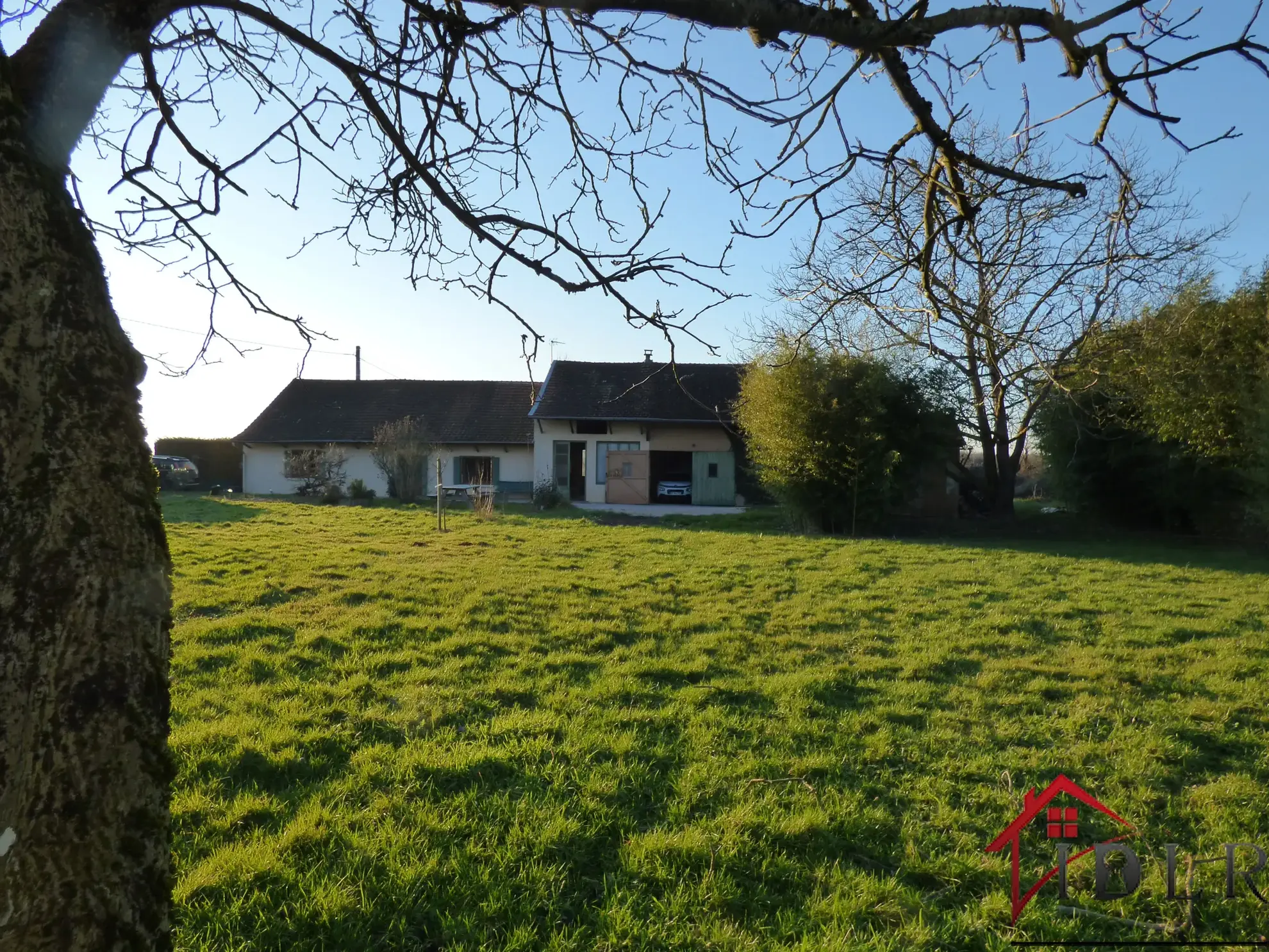 Maison indépendante avec dépendances et grand jardin à Pierre de Bresse : idéale artisan ou famille 
