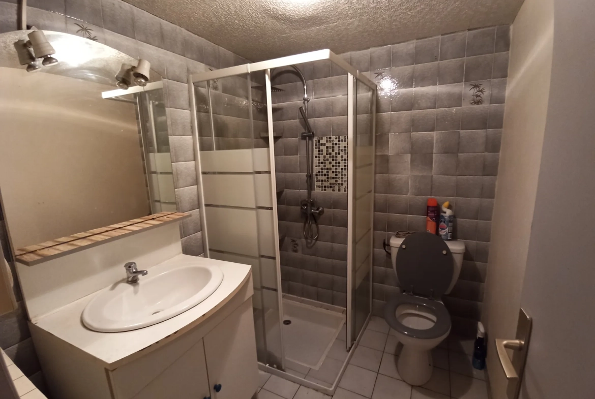 Maison à vendre avec garage et jardin à Semalens - Opportunité à Castres 