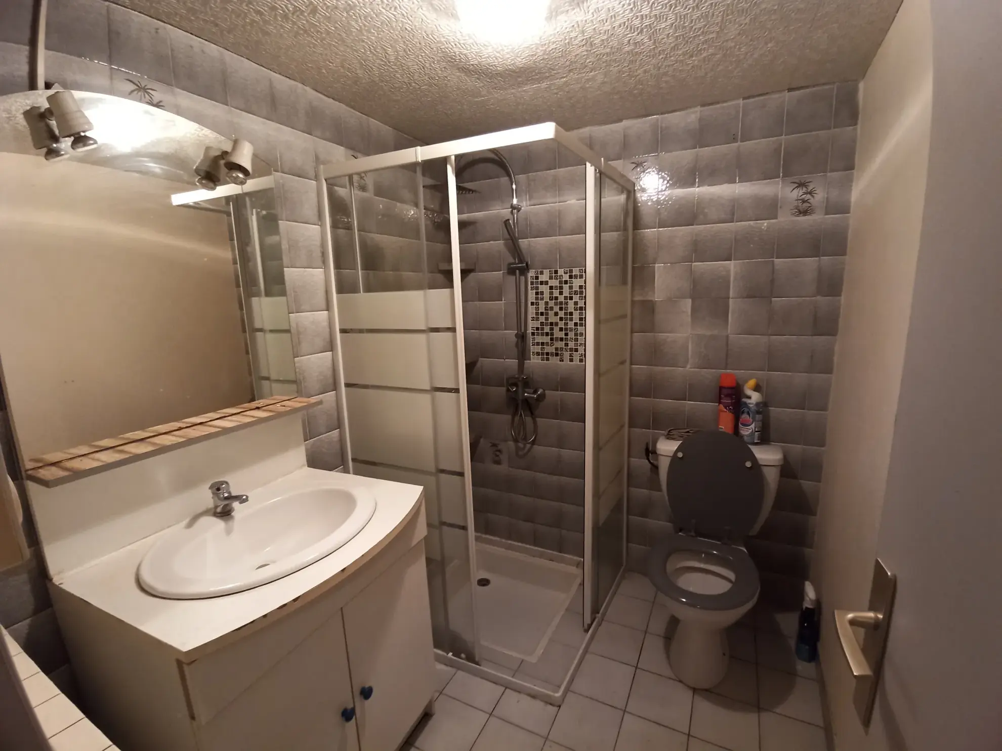 Maison à vendre avec garage et jardin à Semalens - Opportunité à Castres 