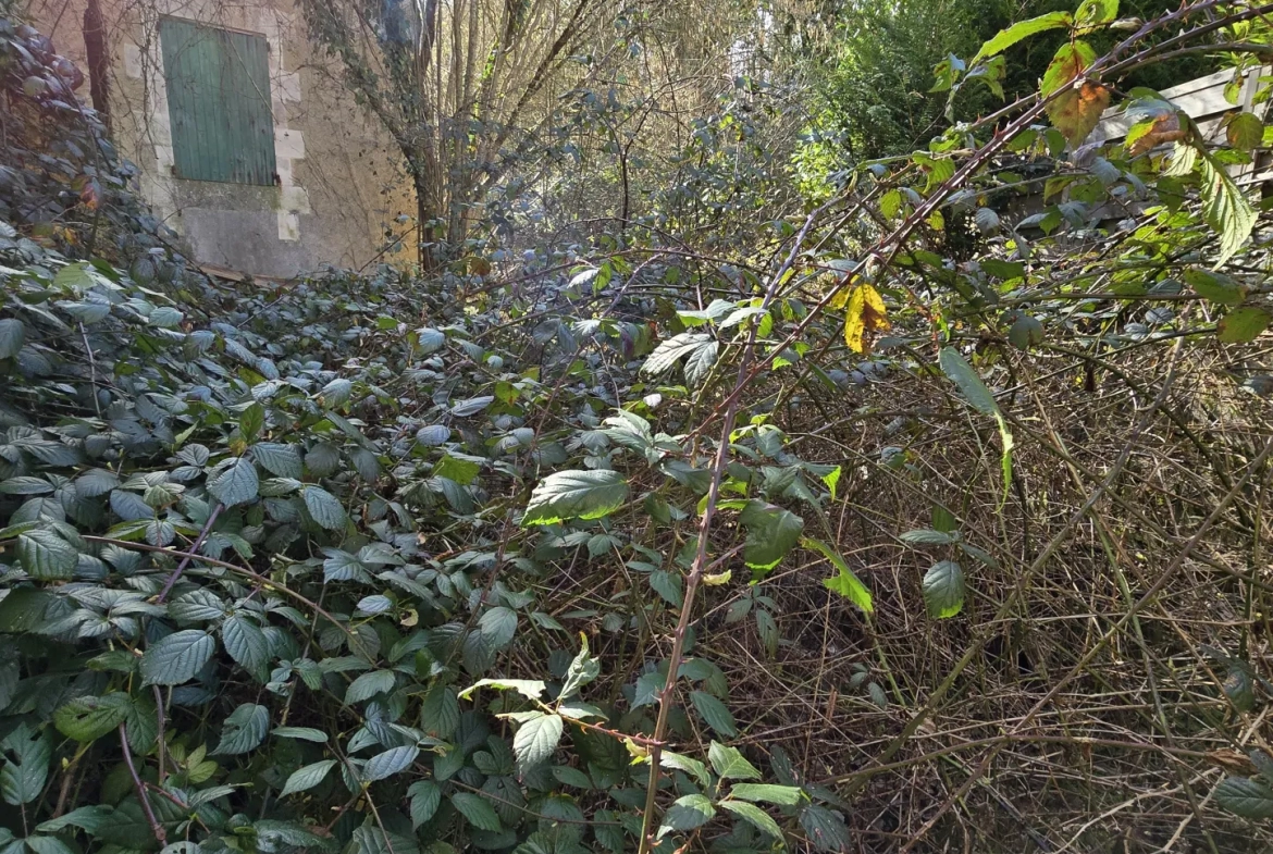 Maison à rénover avec jardin à Celle-Lèvescault (86) 