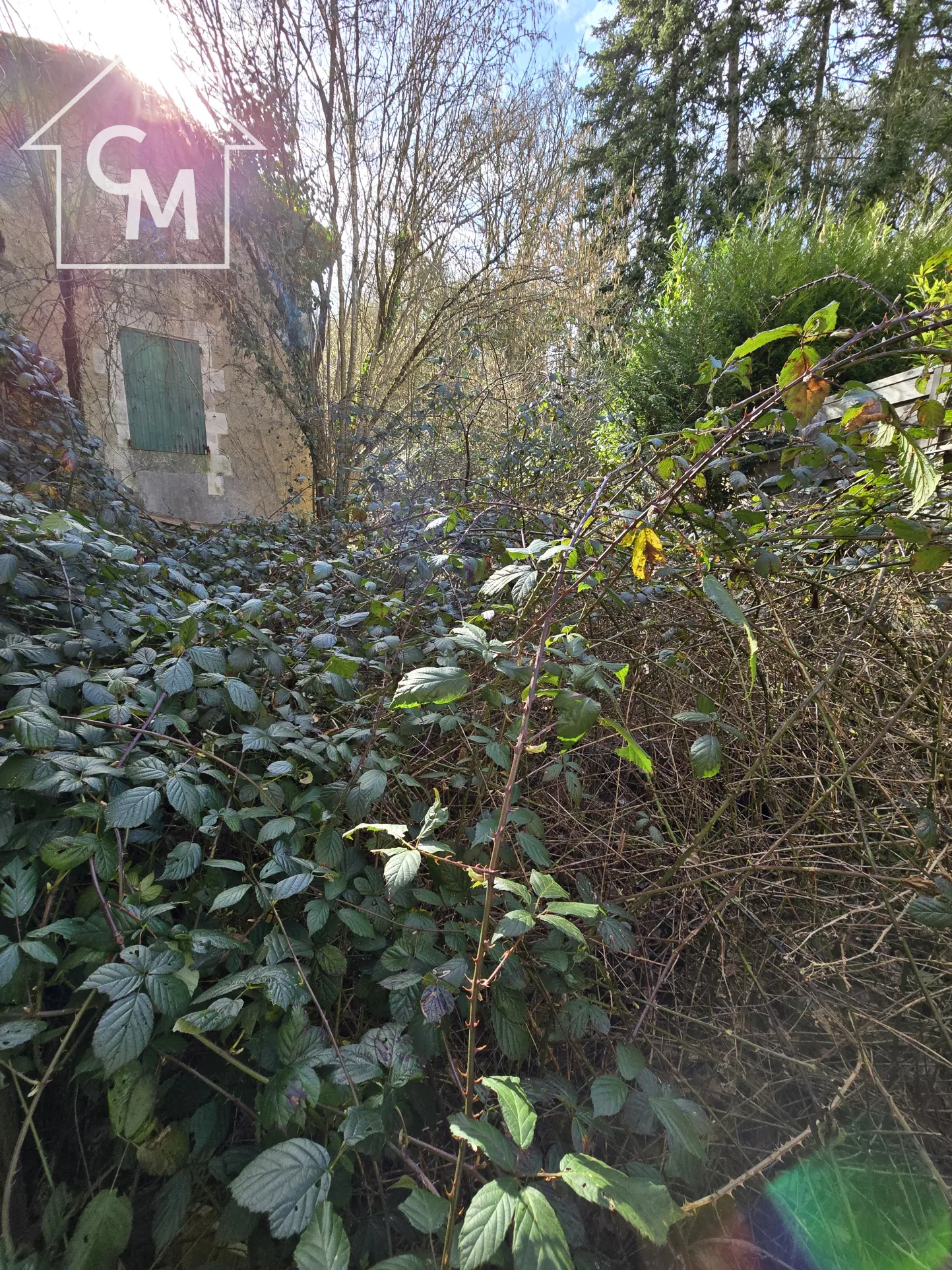 Maison à rénover avec jardin à Celle-Lèvescault (86) 