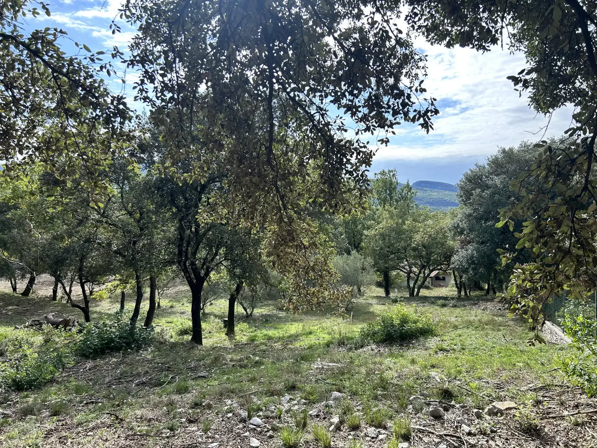 Terrain constructible de 1919 m² avec vue imprenable à Moules et Baucels – proximité Montpellier 