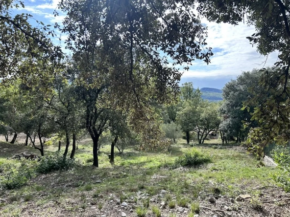 Terrain constructible de 1919 m² avec vue imprenable à Moules et Baucels – proximité Montpellier