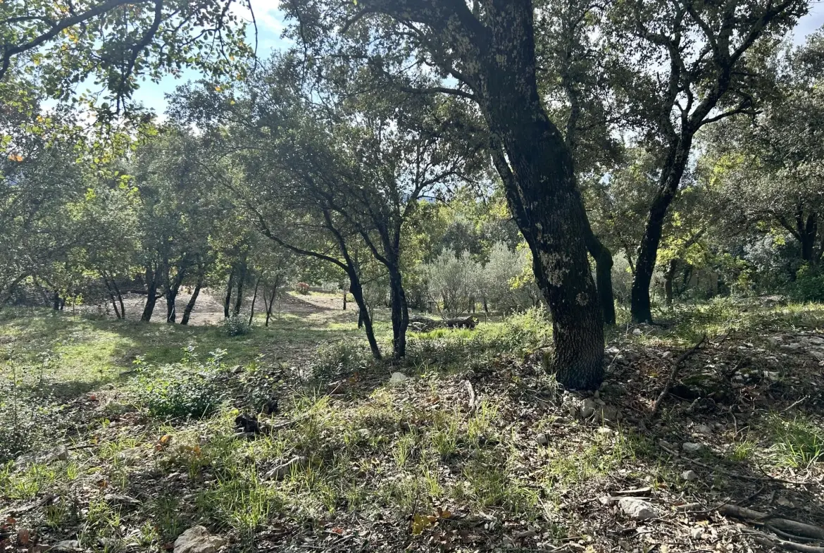 Terrain constructible de 1919 m² avec vue imprenable à Moules et Baucels – proximité Montpellier 