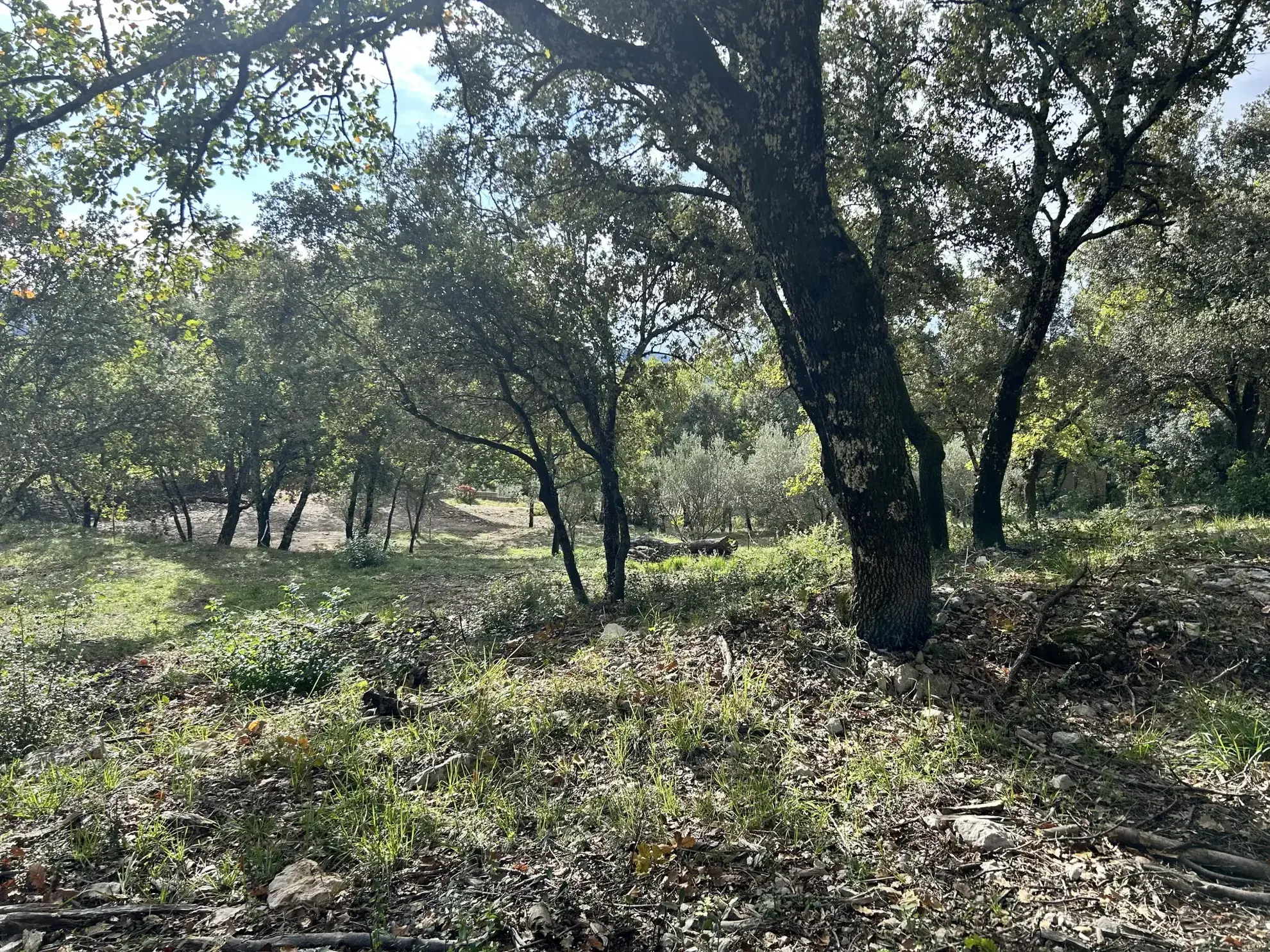 Terrain constructible de 1919 m² avec vue imprenable à Moules et Baucels – proximité Montpellier 