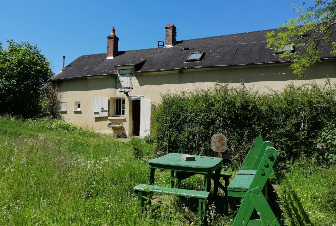 Ancienne fermette à vendre à Parigny les Vaux (58), 1408 m² de terrain 