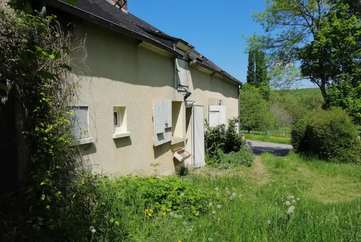 Ancienne fermette à vendre à Parigny les Vaux (58), 1408 m² de terrain 