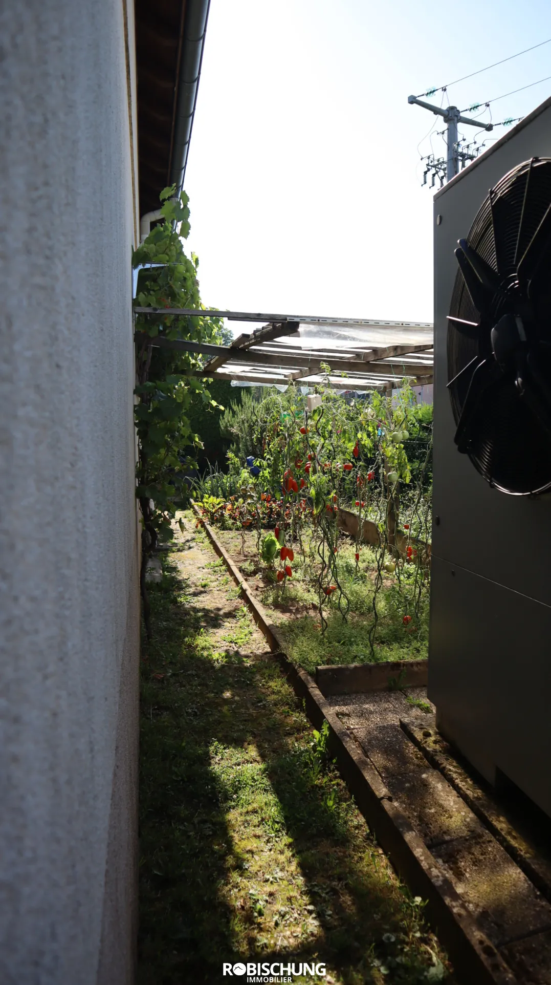 Maison à Dannemarie avec grand potentiel, jardin et dépendances 