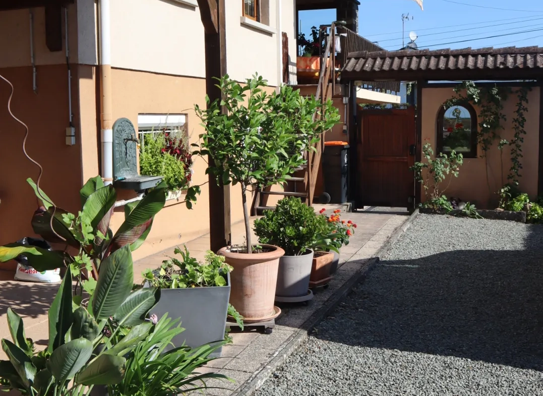 Maison à Dannemarie avec grand potentiel, jardin et dépendances 