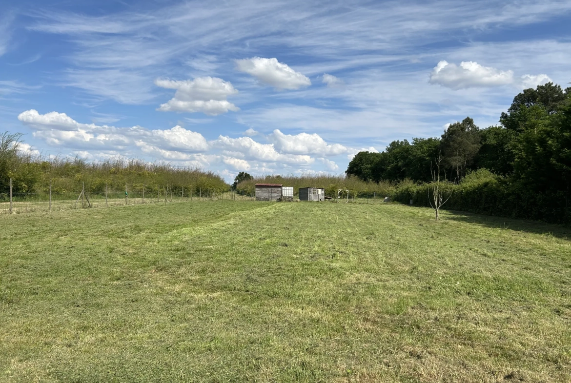 Maison rénovée de 190 m² avec terrains et équipements modernes à La Réole 