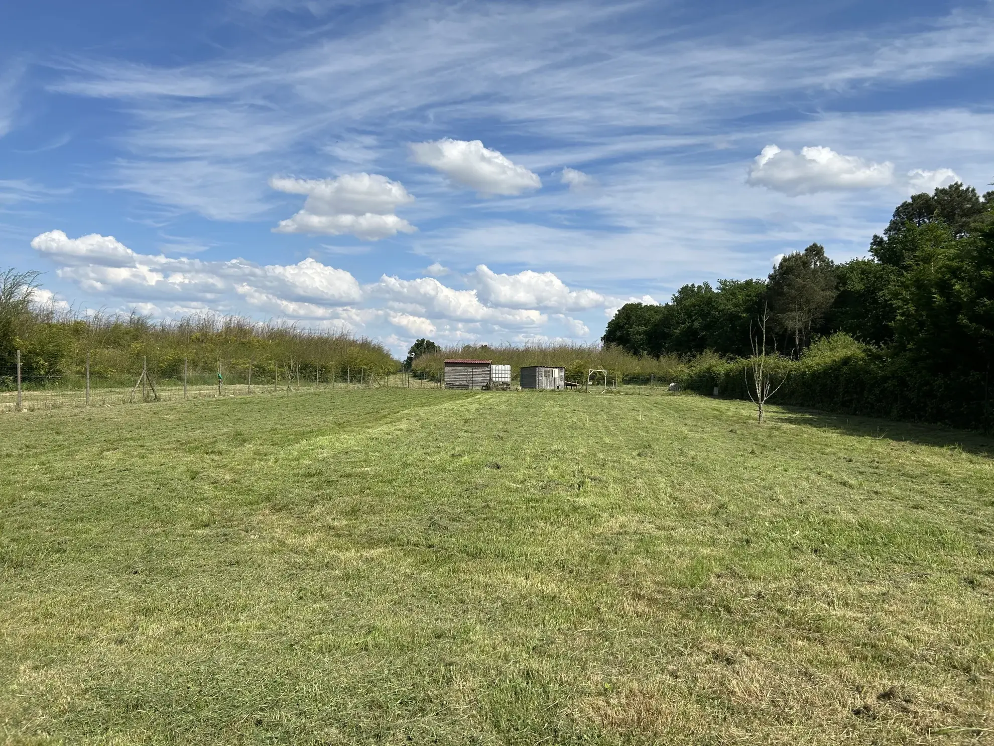 Maison rénovée de 190 m² avec terrains et équipements modernes à La Réole 