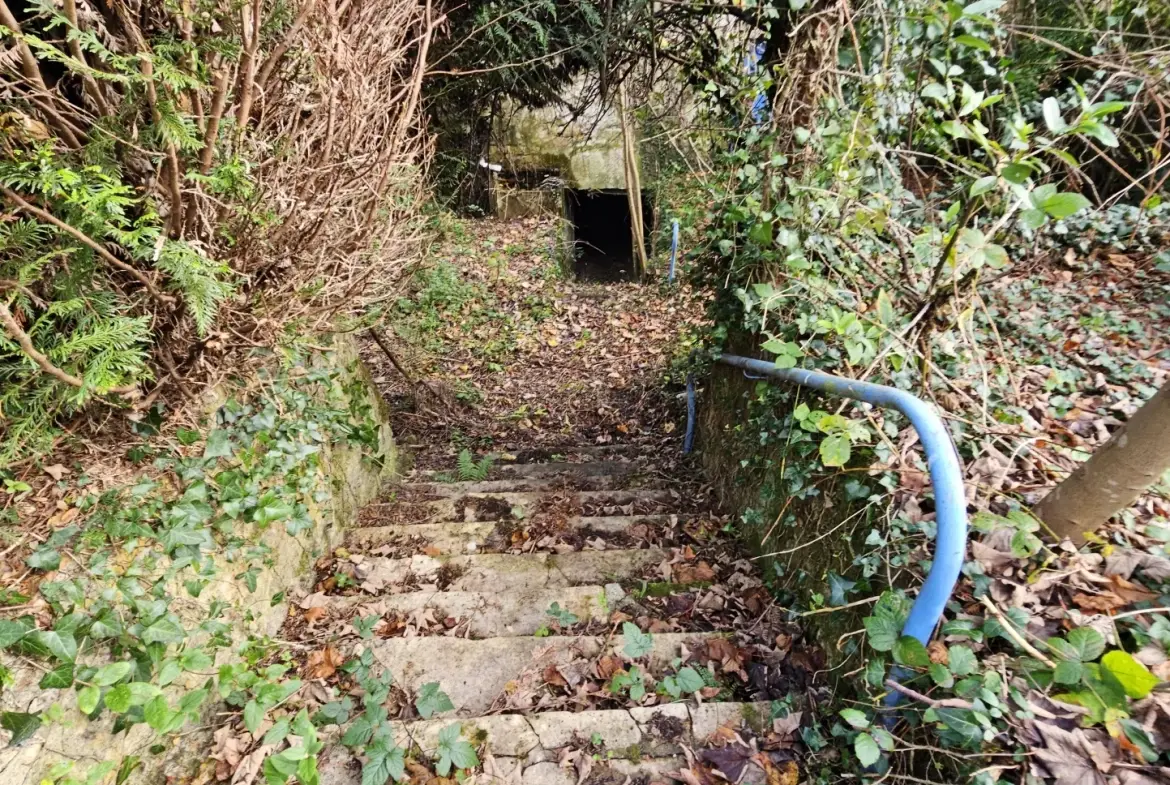 Maison 2 niveaux avec jardin, garage à La Châtre 36400 