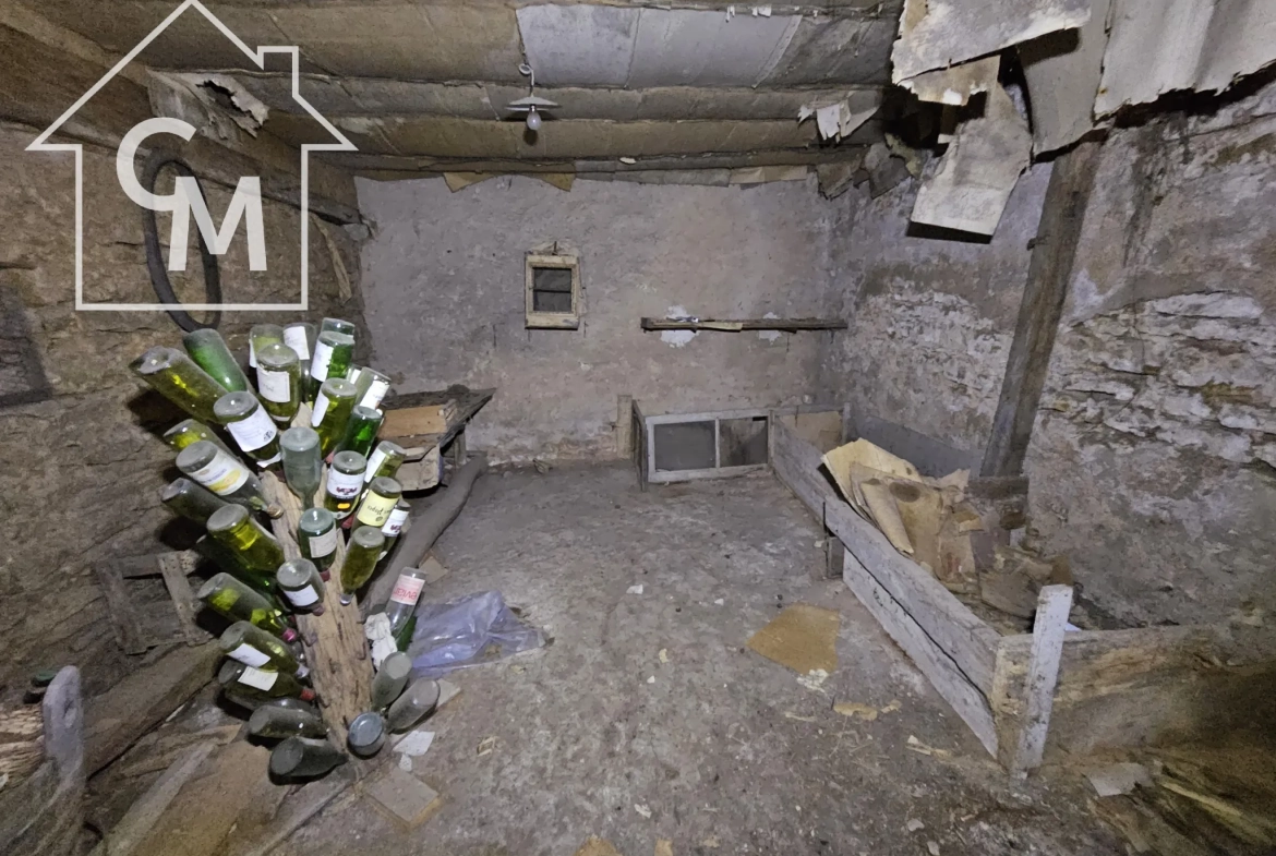 Maison 2 niveaux avec jardin, garage à La Châtre 36400 