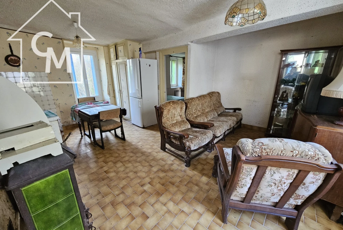 Maison 2 niveaux avec jardin, garage à La Châtre 36400 
