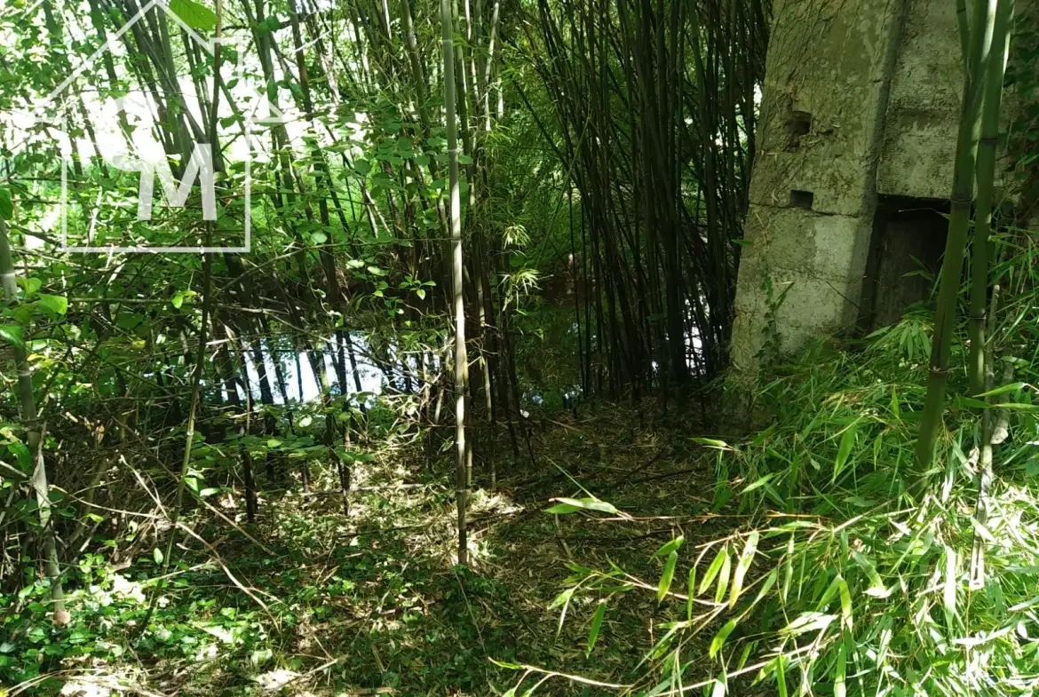 Maison 2 niveaux avec jardin, garage à La Châtre 36400 