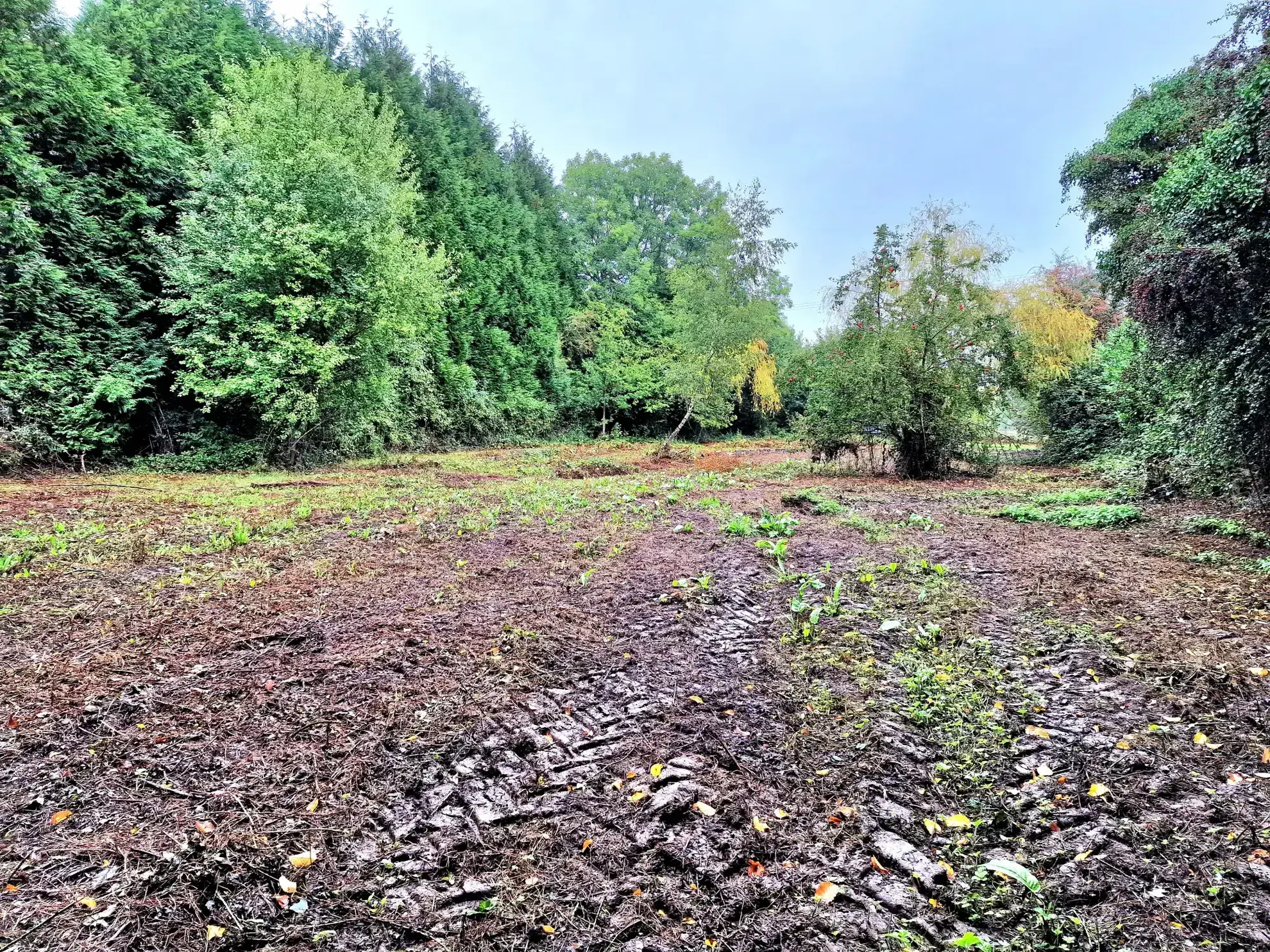 Terrain constructible de 1845 m² à Familly - Calme et campagne en Normandie 