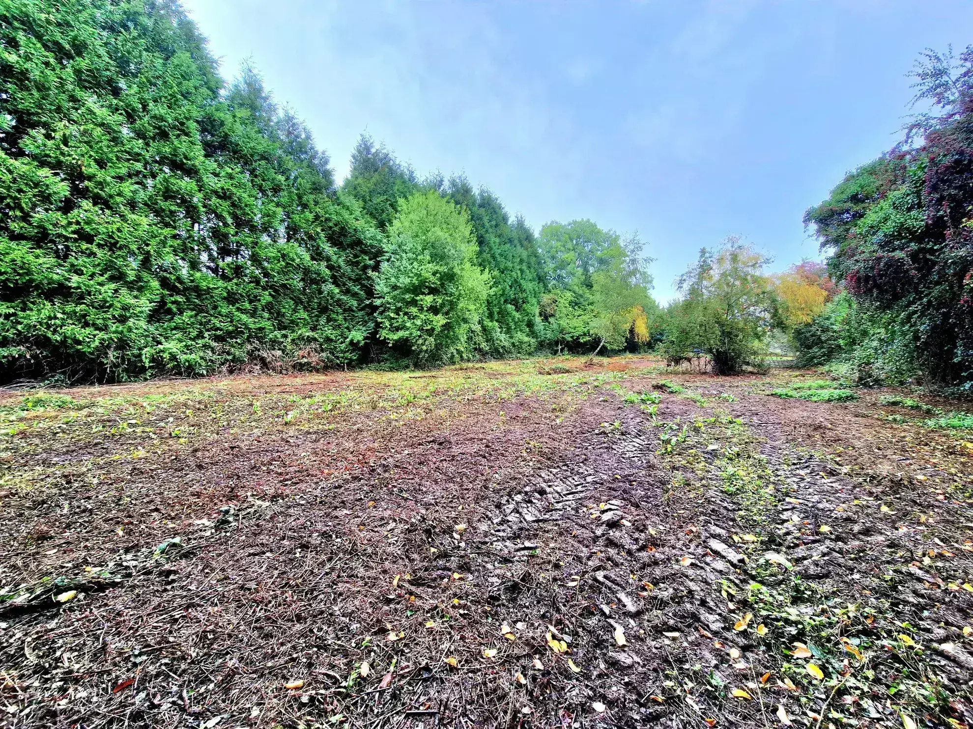 Terrain constructible de 1845 m² à Familly - Calme et campagne en Normandie 