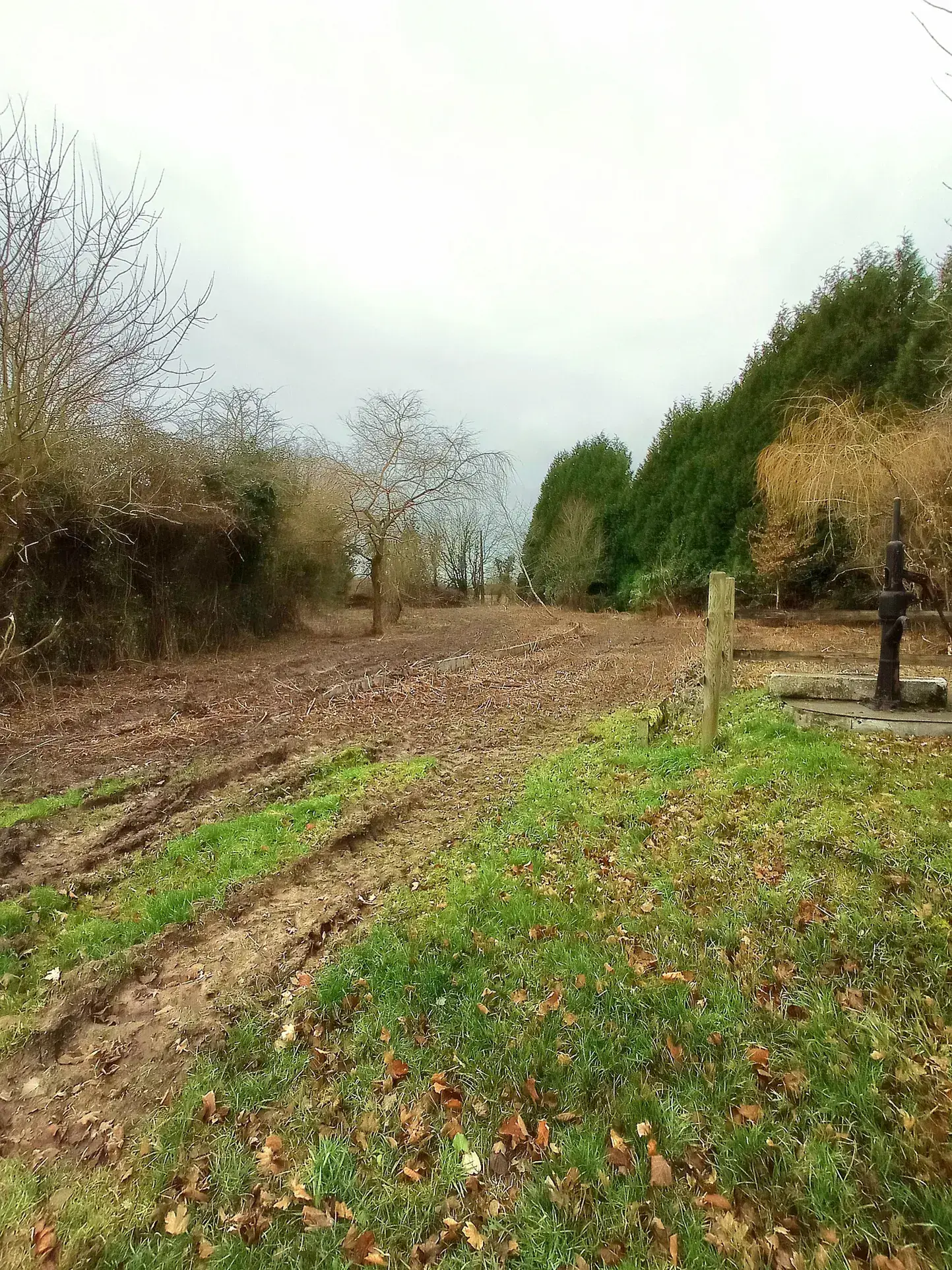 Terrain constructible de 1845 m² à Familly - Calme et campagne en Normandie 