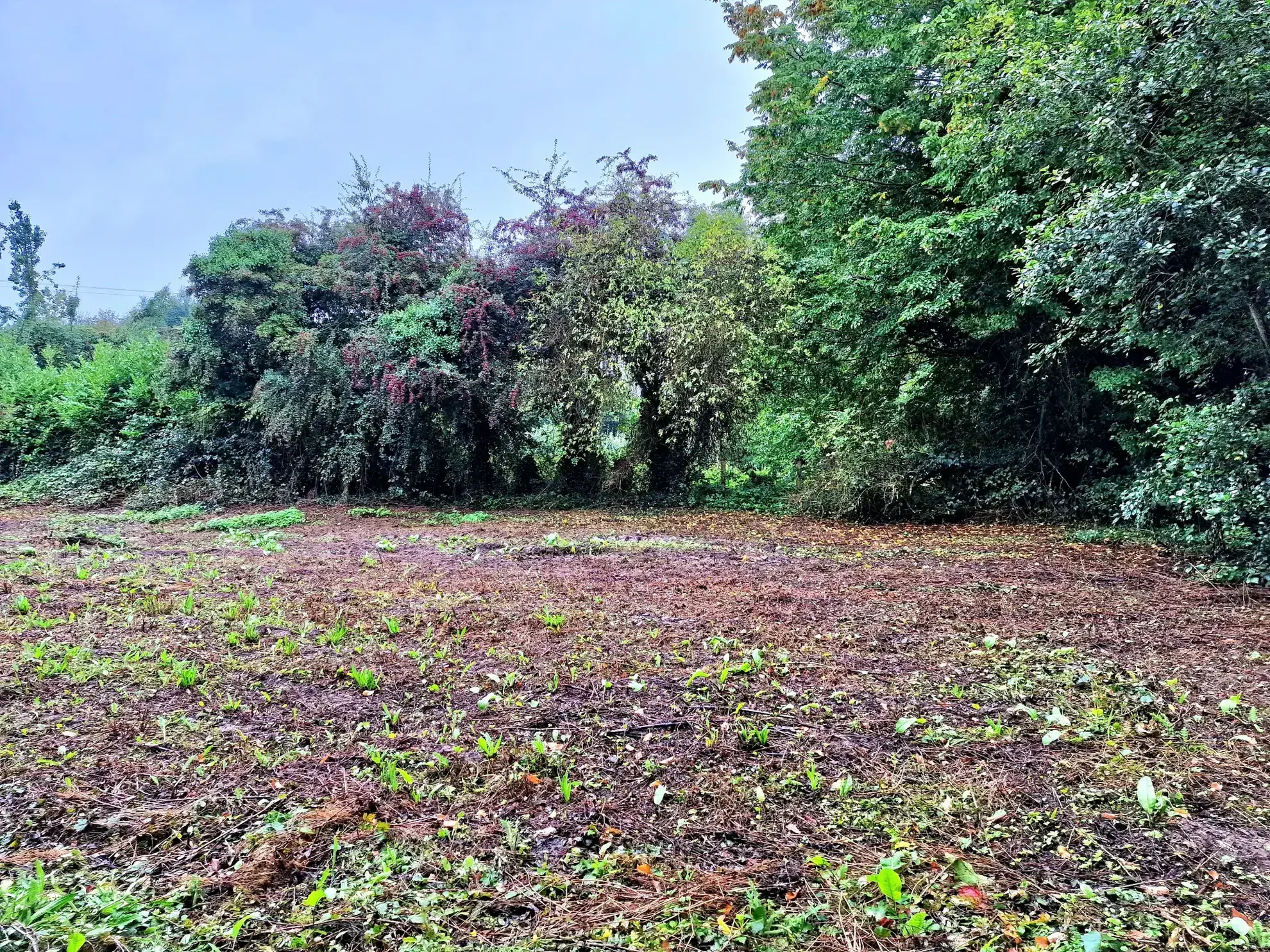 Terrain constructible de 1845 m² à Familly - Calme et campagne en Normandie 