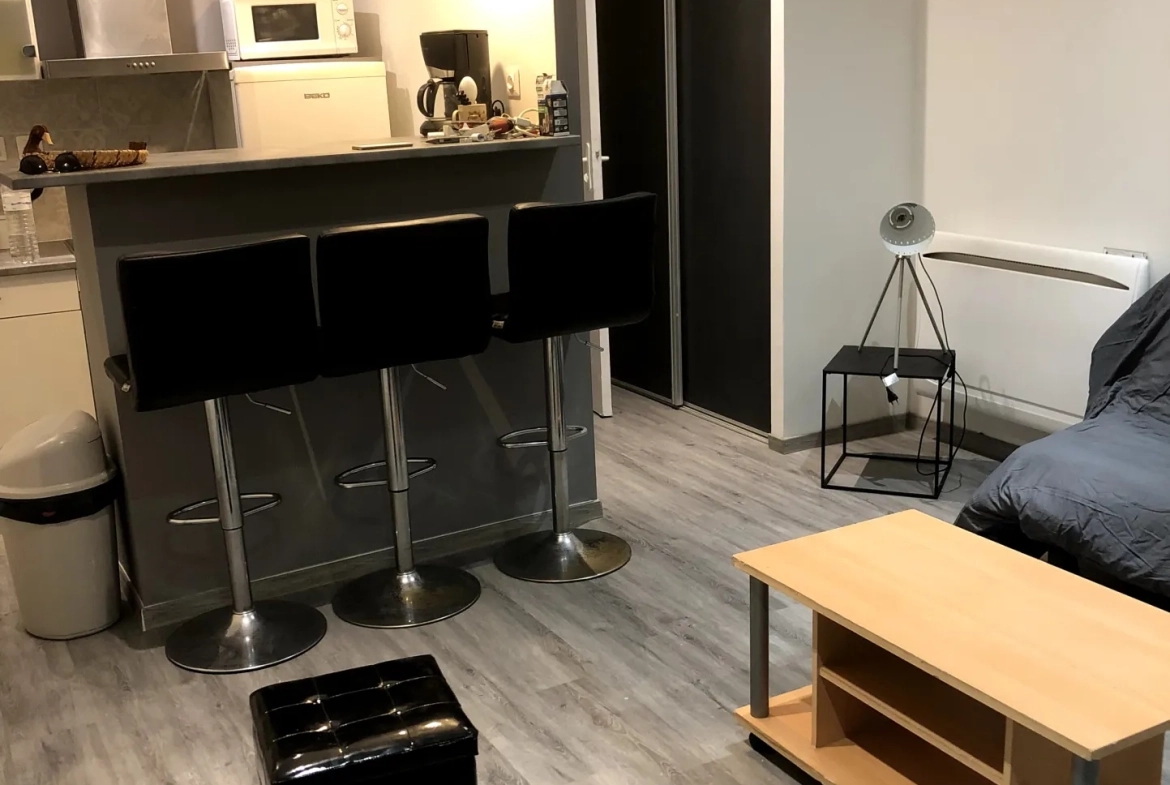 Studio rénové de 26 m² à Vias au cœur de la ville 