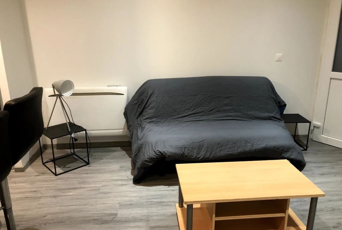 Studio rénové de 26 m² à Vias au cœur de la ville 