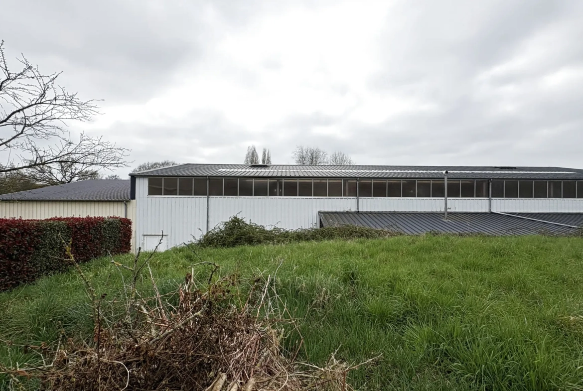 Terrain constructible à vendre à Neuvy-en-Mauges - Plus de 550 m², viabilisé et libre de constructeur 