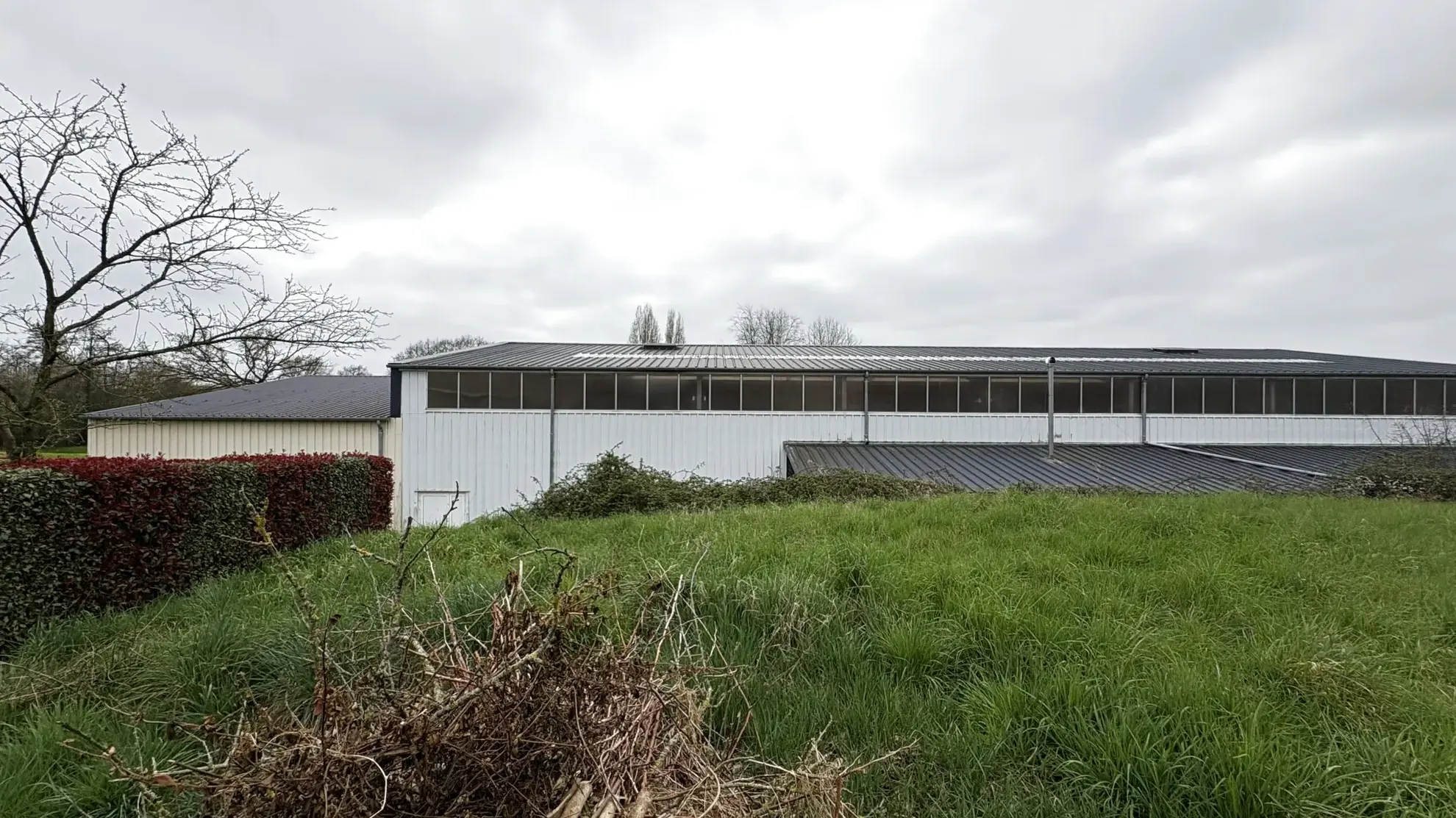 Terrain constructible à vendre à Neuvy-en-Mauges - Plus de 550 m², viabilisé et libre de constructeur 