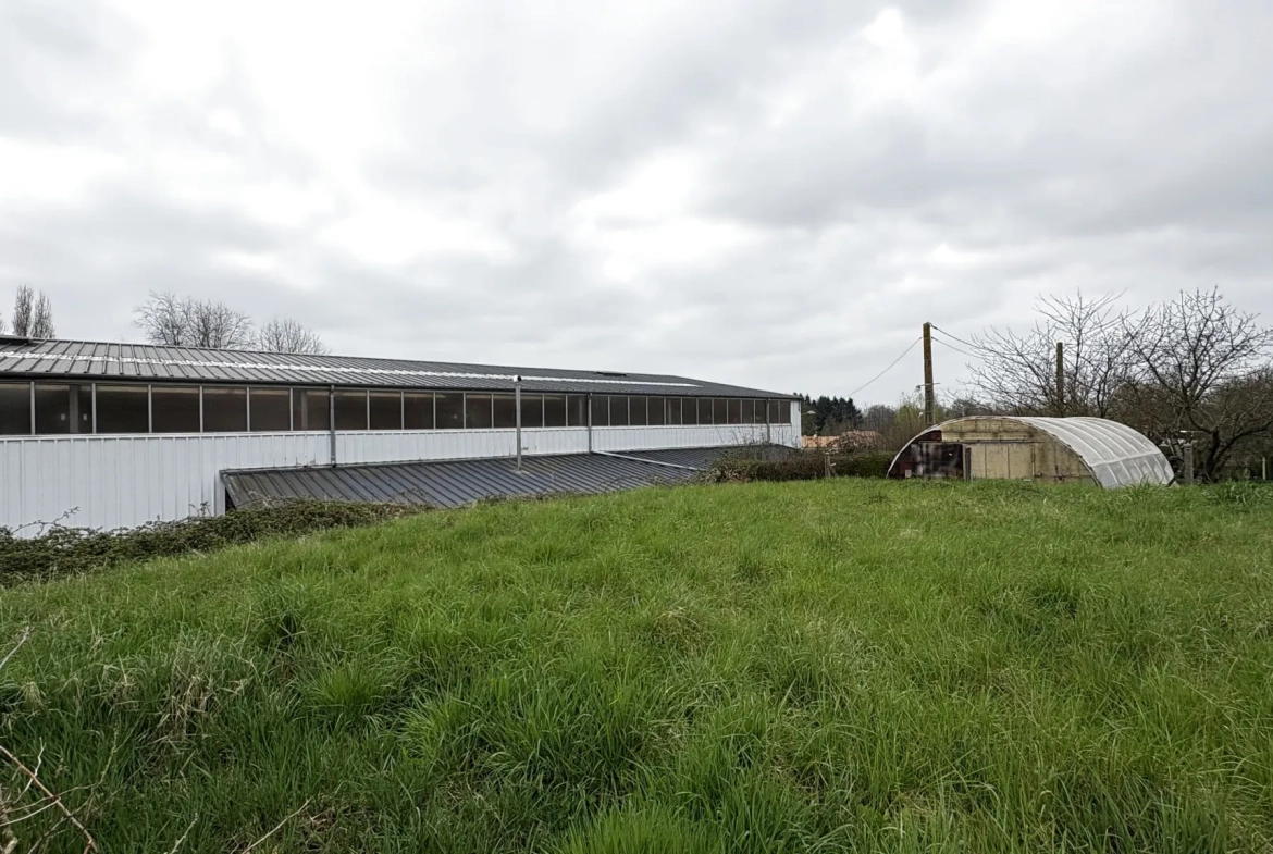 Terrain constructible à vendre à Neuvy-en-Mauges - Plus de 550 m², viabilisé et libre de constructeur 