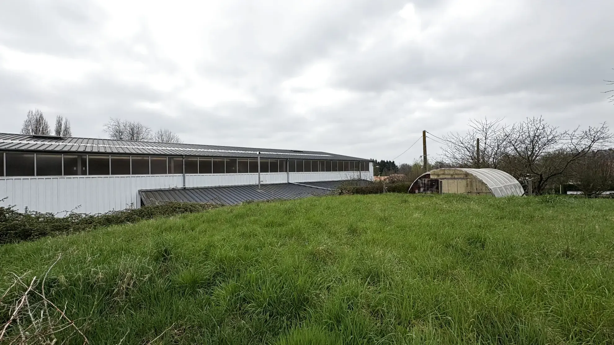 Terrain constructible à vendre à Neuvy-en-Mauges - Plus de 550 m², viabilisé et libre de constructeur 
