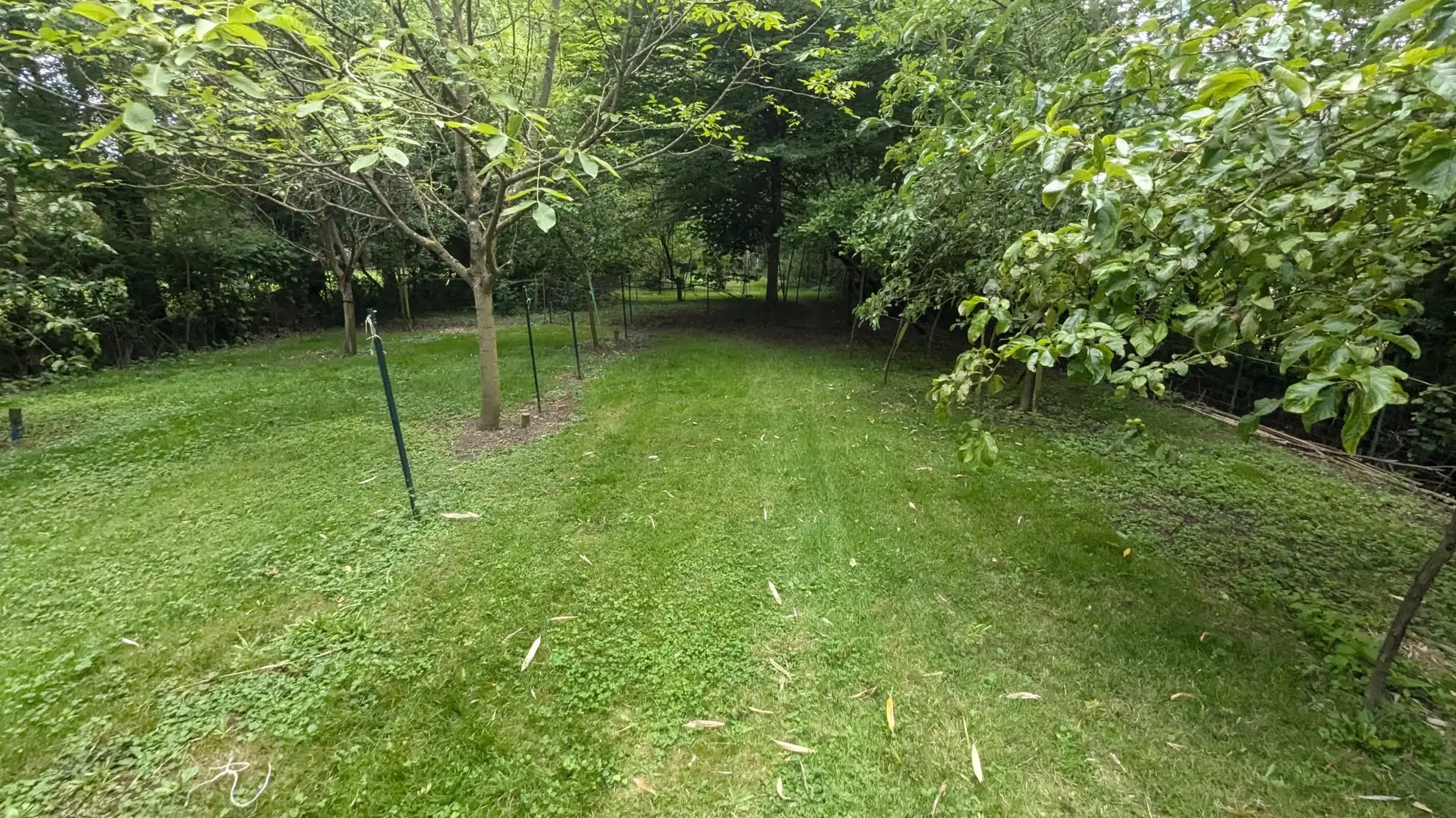 Maison de plain-pied à Magne avec jardin arboré et garage - 3 chambres 