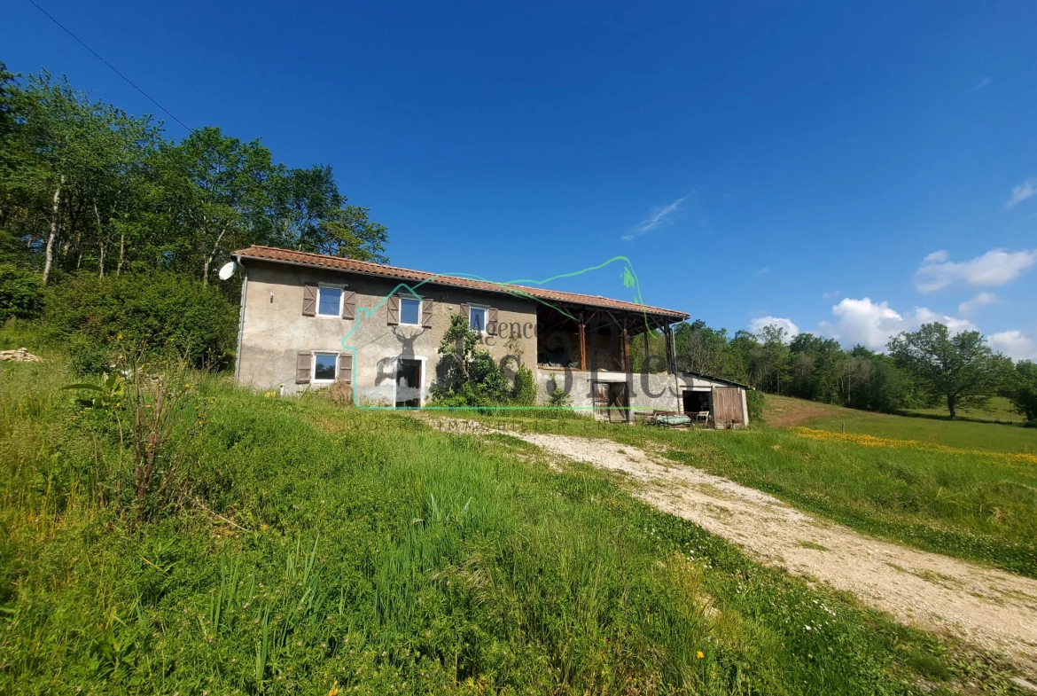 Maison à rénover avec 2 hectares de terrain à Fabas – Vue dégagée et potentiel unique 