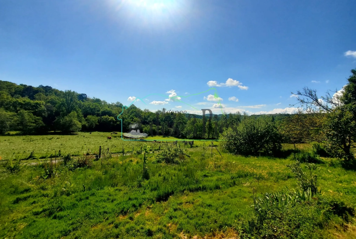 Maison à rénover avec 2 hectares de terrain à Fabas – Vue dégagée et potentiel unique 