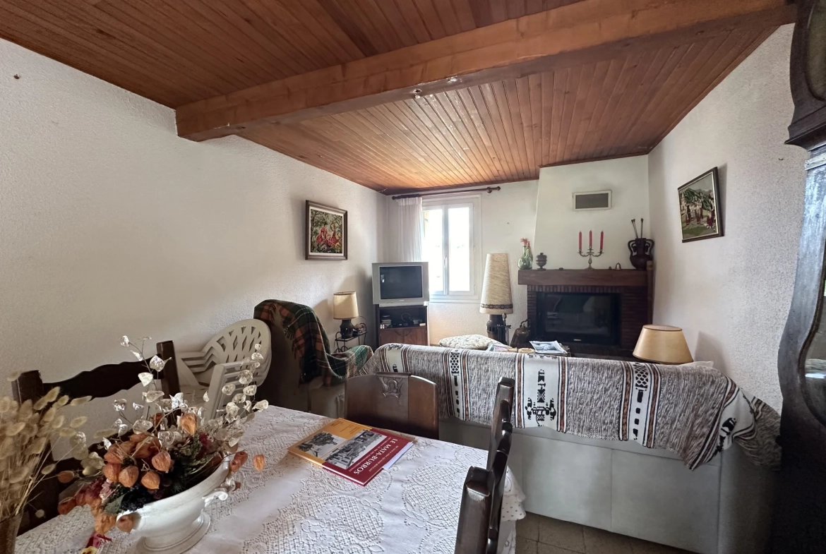Maison lumineuse avec terrasse et terrain arboré à Montferrer 