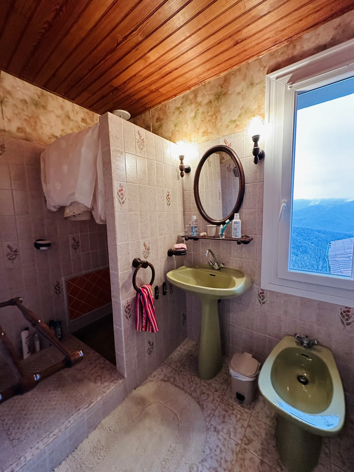 Maison lumineuse avec terrasse et terrain arboré à Montferrer 
