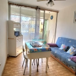 Appartement T2 meublé à Frontignan-Plage avec parking à vendre