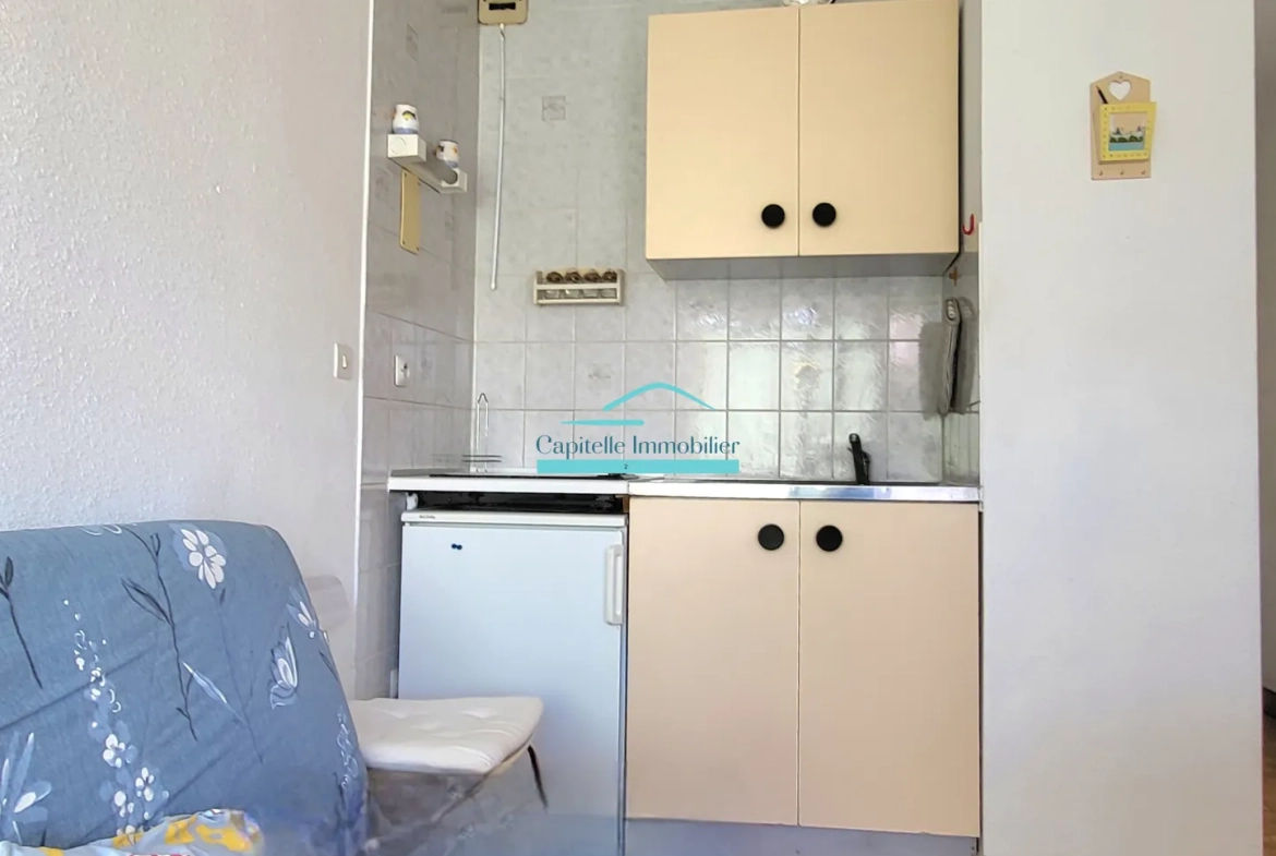 Appartement T2 meublé à Frontignan-Plage avec parking à vendre 