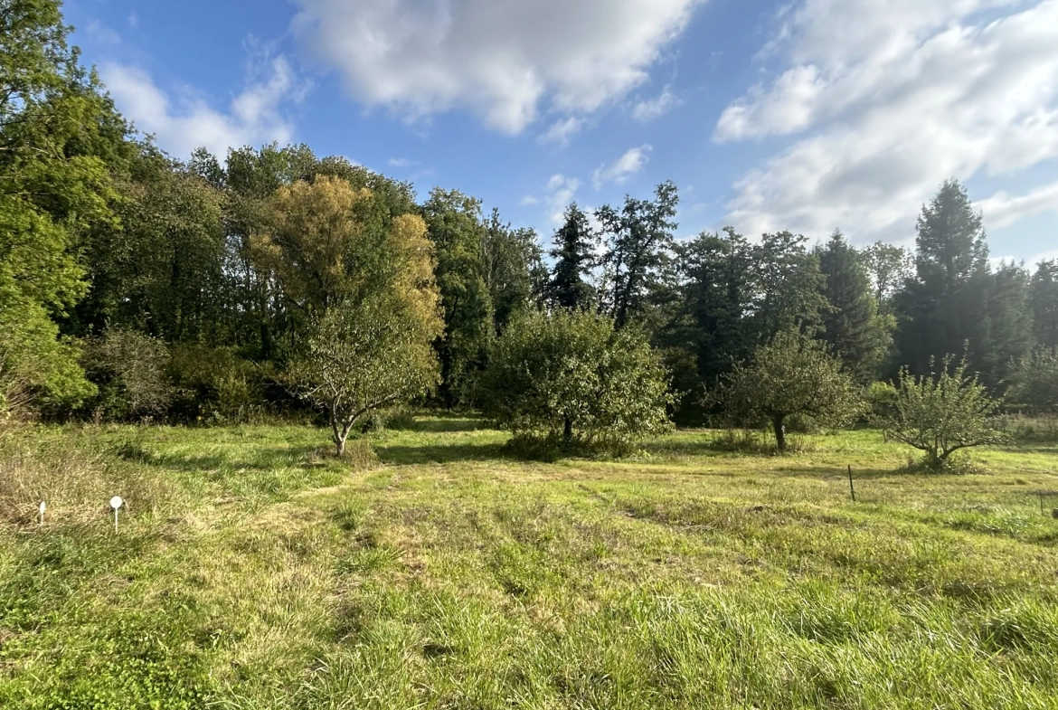Terrain à bâtir de 4489 m² à Chalo St Mars près d'Étampes 