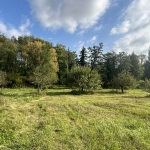 Terrain à bâtir de 4489 m² à Chalo St Mars près d'Étampes