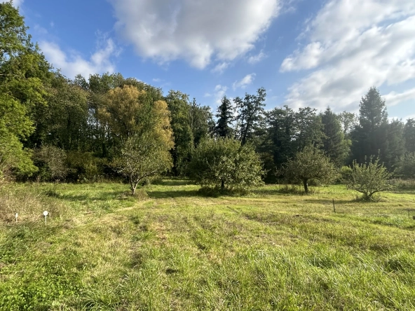 Terrain à bâtir de 4489 m² à Chalo St Mars près d'Étampes