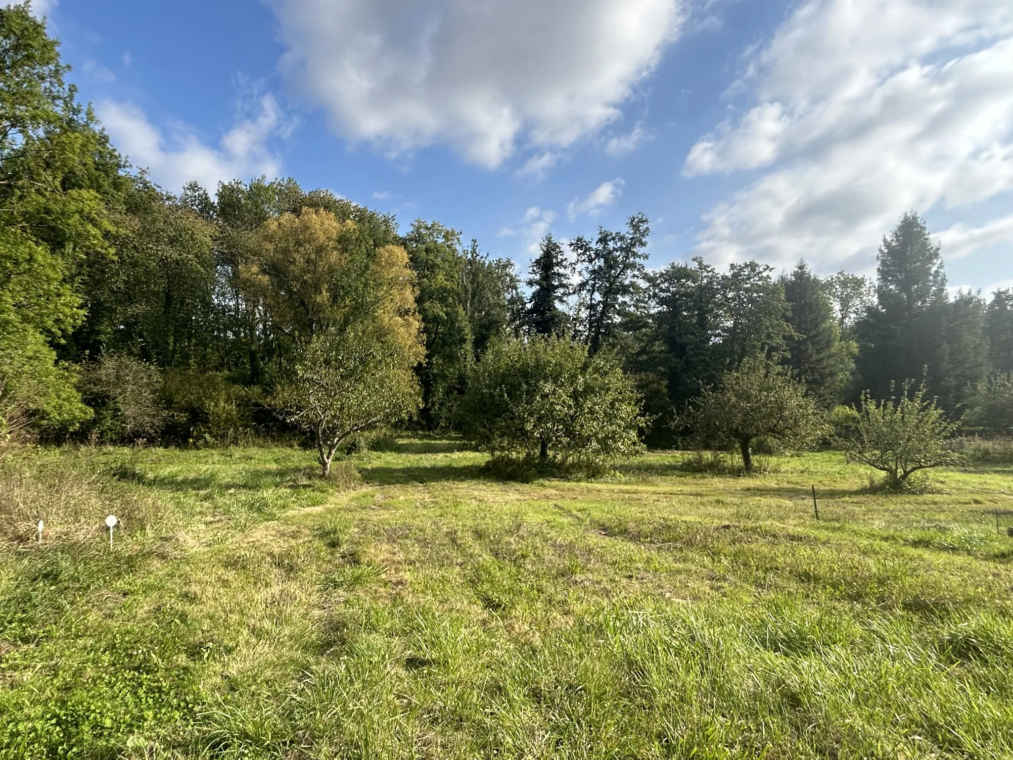 Terrain à bâtir de 4489 m² à Chalo St Mars près d'Étampes 