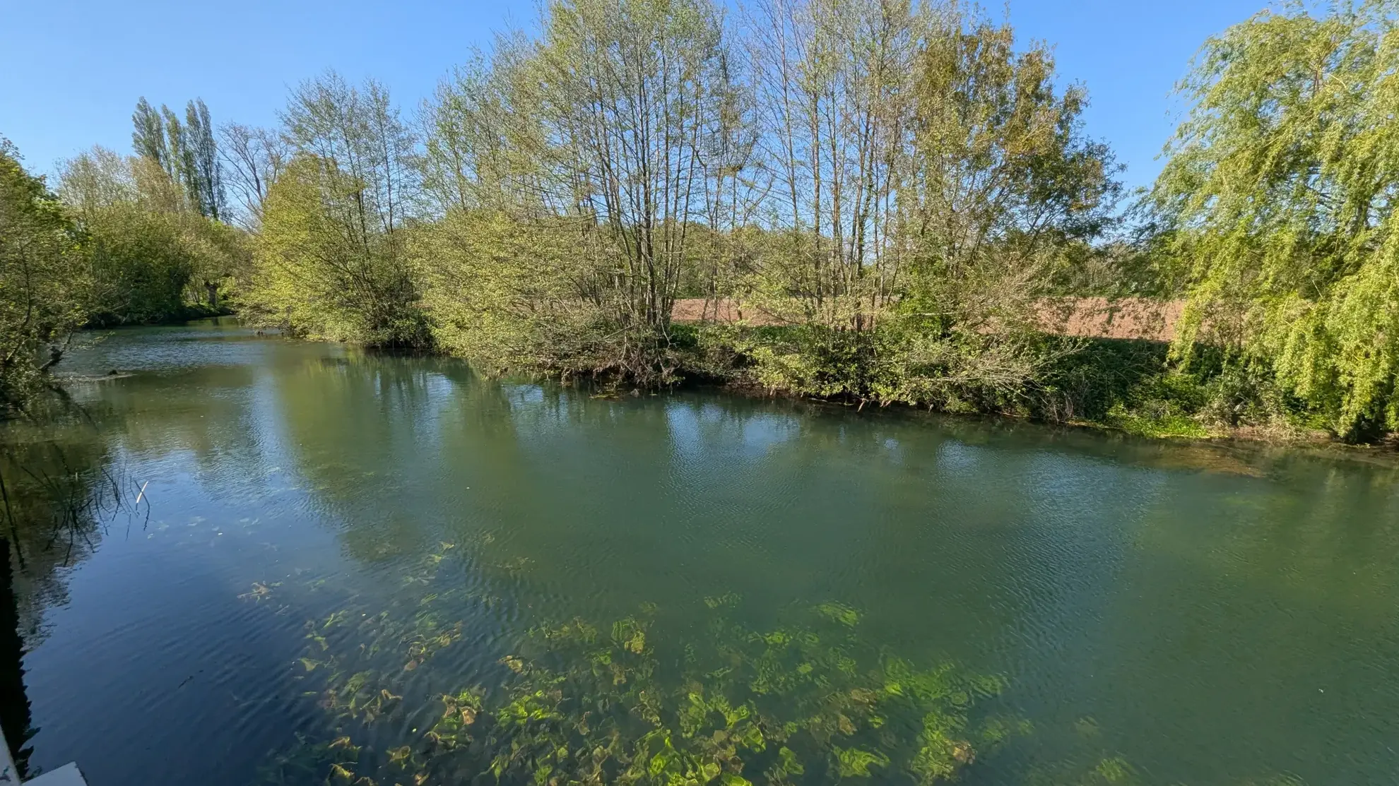 Maison de pêcheur meublée avec vue sur la Sèvre à Magne - Investissement ou résidence secondaire idéale 