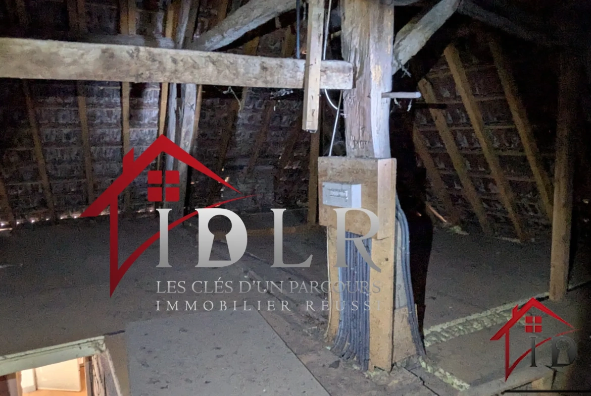 Immeuble de 190m² à rénover au centre-ville avec jardin à Chaussin 