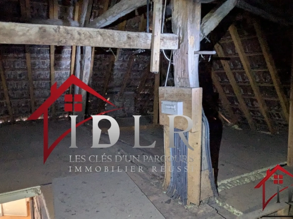 Immeuble de 190m² à rénover au centre-ville avec jardin à Chaussin 