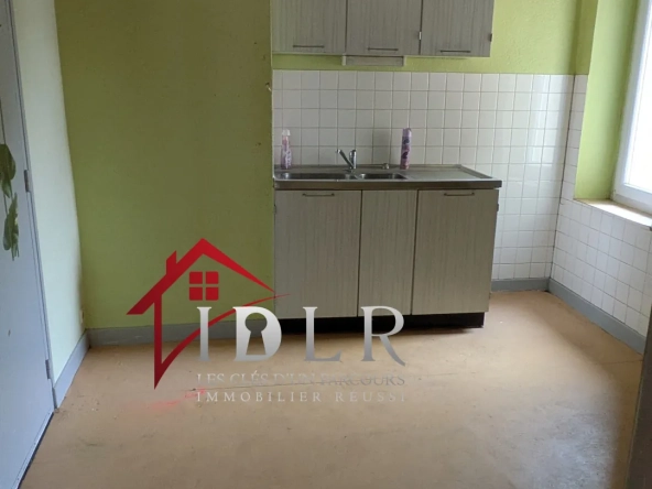 Immeuble de 190m² à rénover au centre-ville avec jardin à Chaussin 