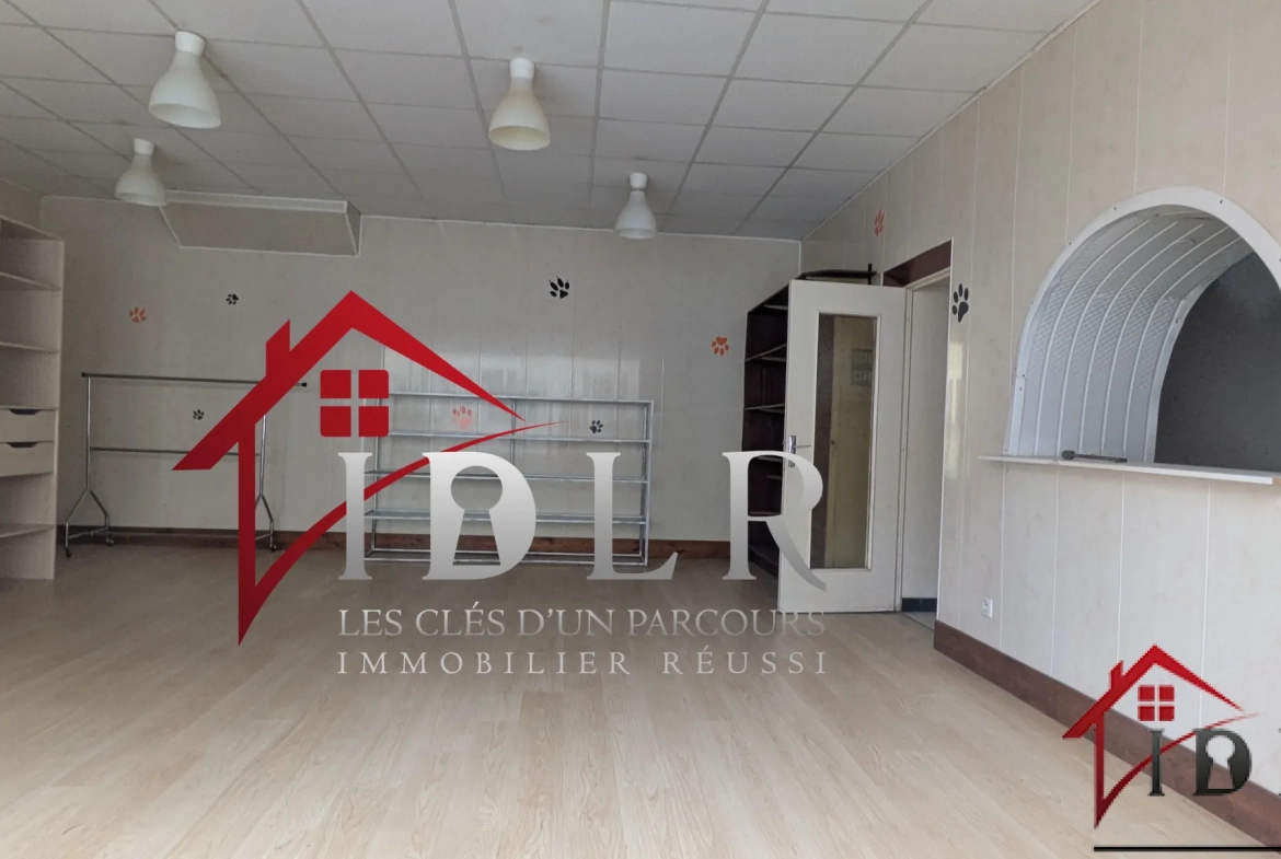 Immeuble de 190m² à rénover au centre-ville avec jardin à Chaussin 